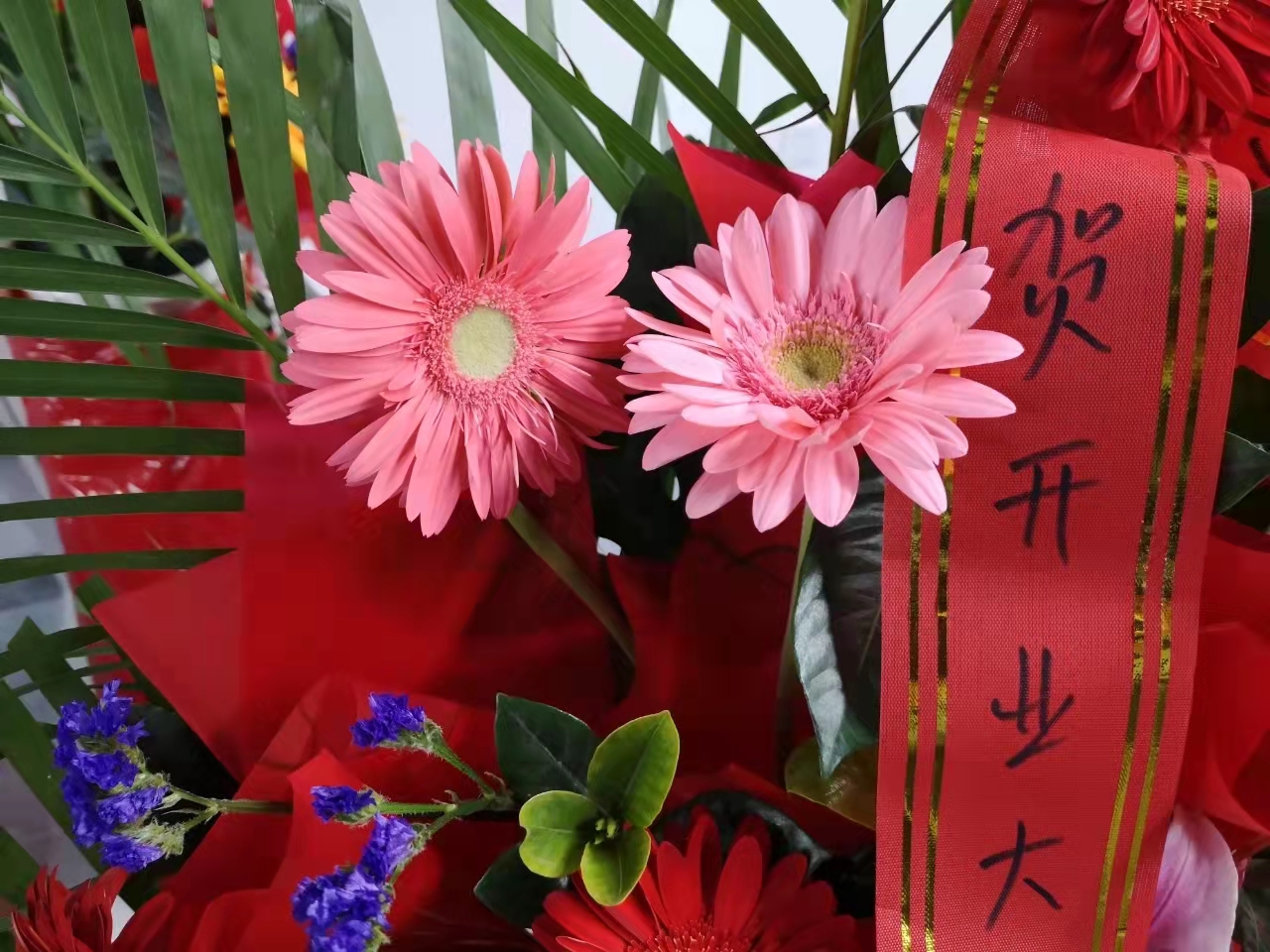微信图片_20211206203647.jpg